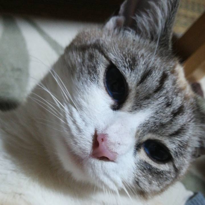 Cb94e240 f50c 4315 9e8e 01054ea71420 1512995885908