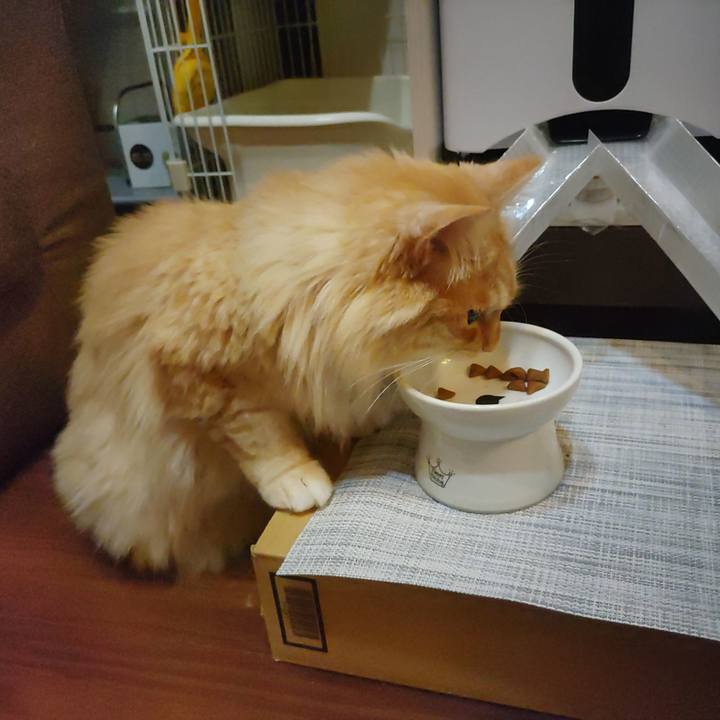 Cb94e7bc 631b 49e5 a1f1 9df4df138147 1655902520553