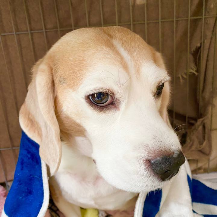 Cb951693 35f1 4267 8291 7a6b3ffbda73 1582774608528