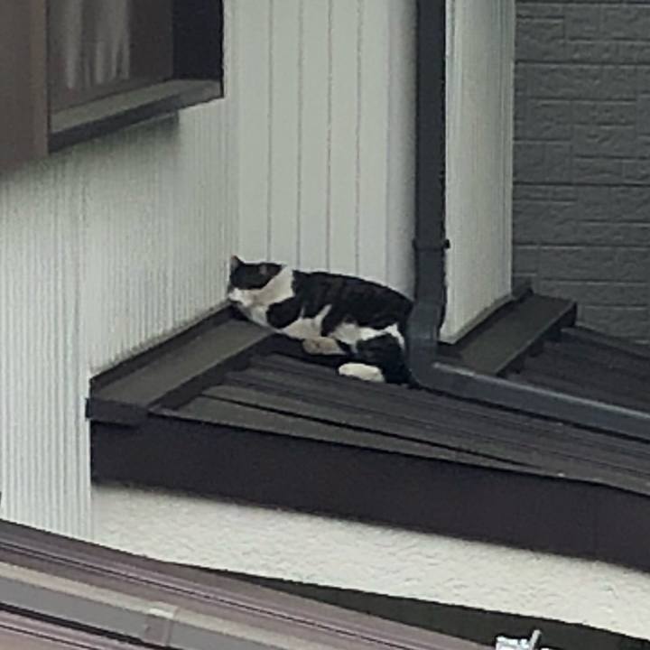 Cb958635 7924 433c 9671 23f6cc493667 1524557767464