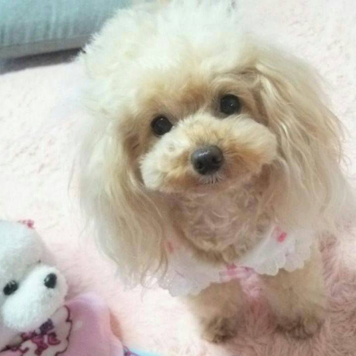 Cb958c55 1261 4358 85a2 d2a78903ce87 1561590190396