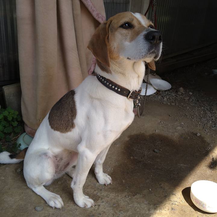 Cb959dc3 458b 41f7 80e9 fe2dbe2a74ce 1650863510537