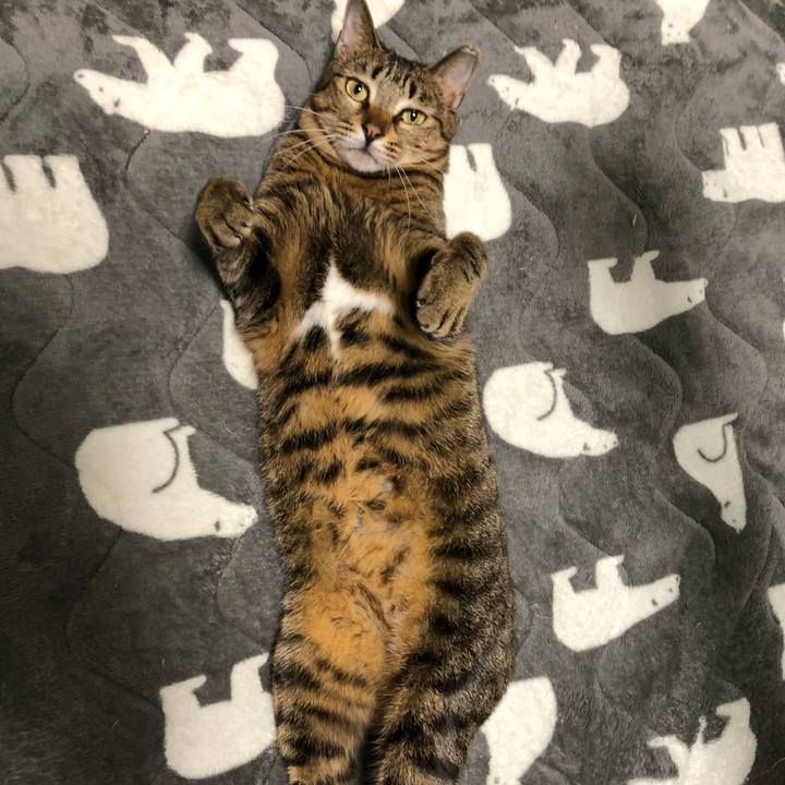 Cb95a82d 73da 4c85 8bf5 c7b9b30b7117 1520848135200