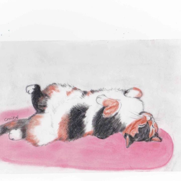 Cb95f2b5 75eb 46e1 b146 577af8e9dcbe 1599239211449