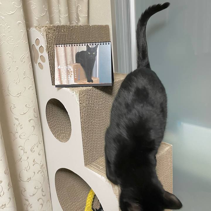 Cb9606df 0140 40e7 adf2 cbf0e0fc1940 1650622859934