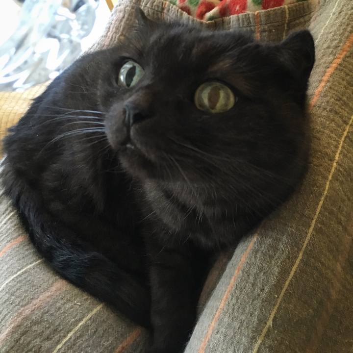 Cb963c5a 0804 47c1 8cdb 04c01360d9be 1538101411175