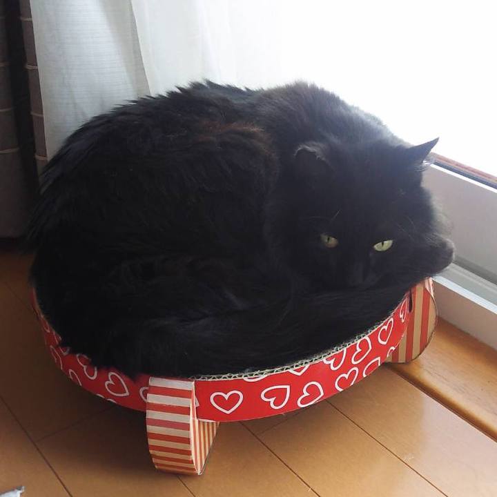 Cb966ef5 853d 4d79 bd81 f20d3c198944 1546587852557