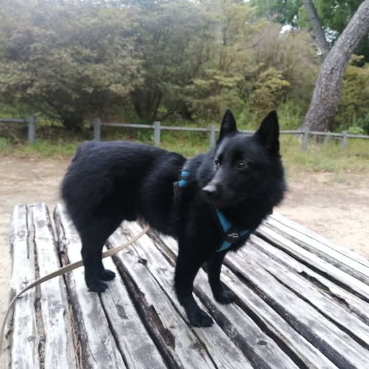 Cb968a0b e3a3 4d8f 88be eb6366d4fdb5 1665272859612