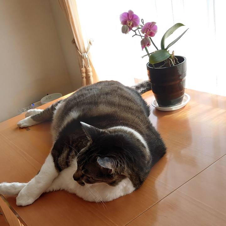 Cb968aec e6d3 4907 b0c8 67074d7b46f6 1681084165762