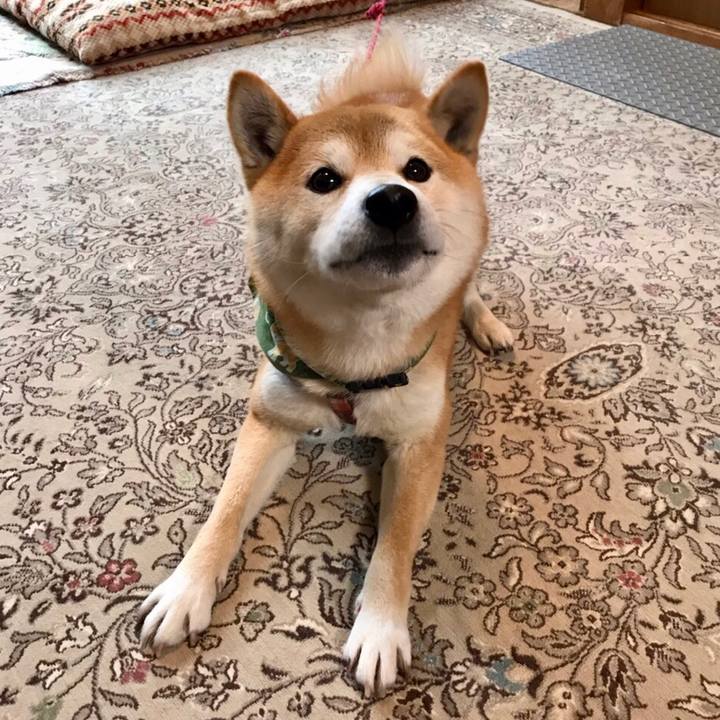 Cb968e57 bd1b 42d5 aef6 a26a2cd34b26 1552826097993