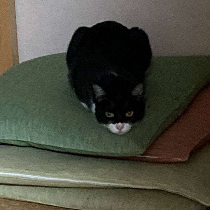 Cb9691b8 8dab 472d 82c5 b403f50e705c 1619815833118