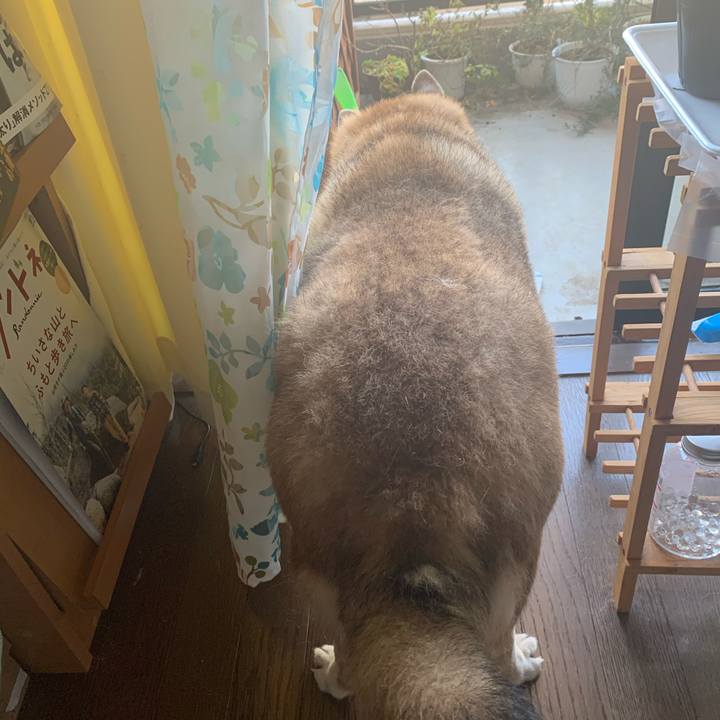 Cb96b295 9210 4ec0 8067 322aa009c4d1 1611107936704