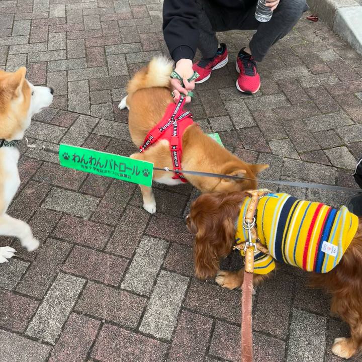 Cb96e52c 0025 4a70 a60a 405860c1d991 1701561586055