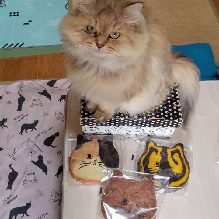 Cb979755 d8cd 4f52 9808 59085573a95c 1634957657817