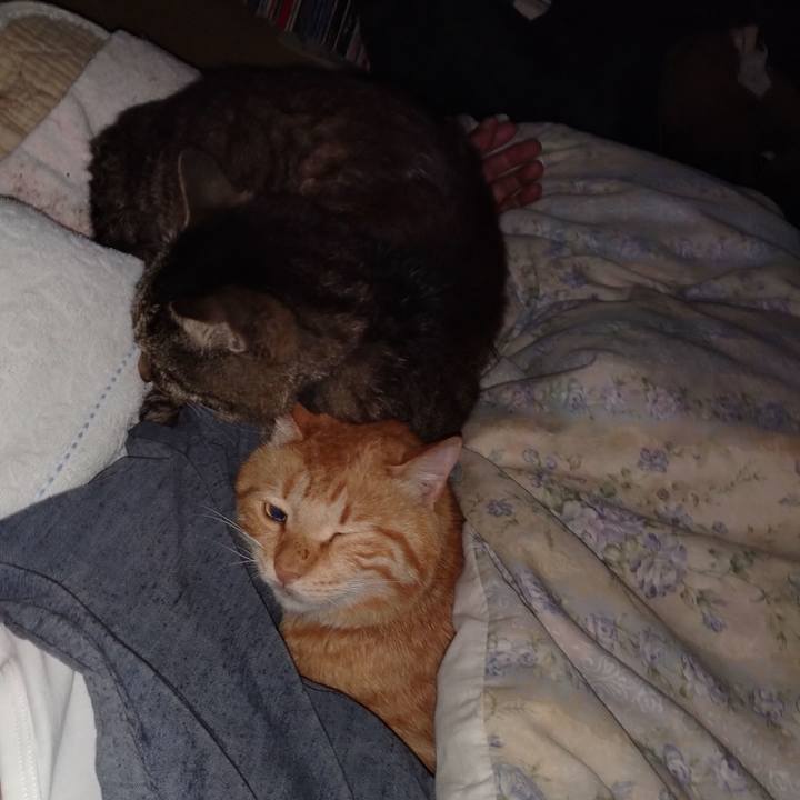 Cb97d1d0 63a2 4114 997c 96d4d0ec9050 1749939839292