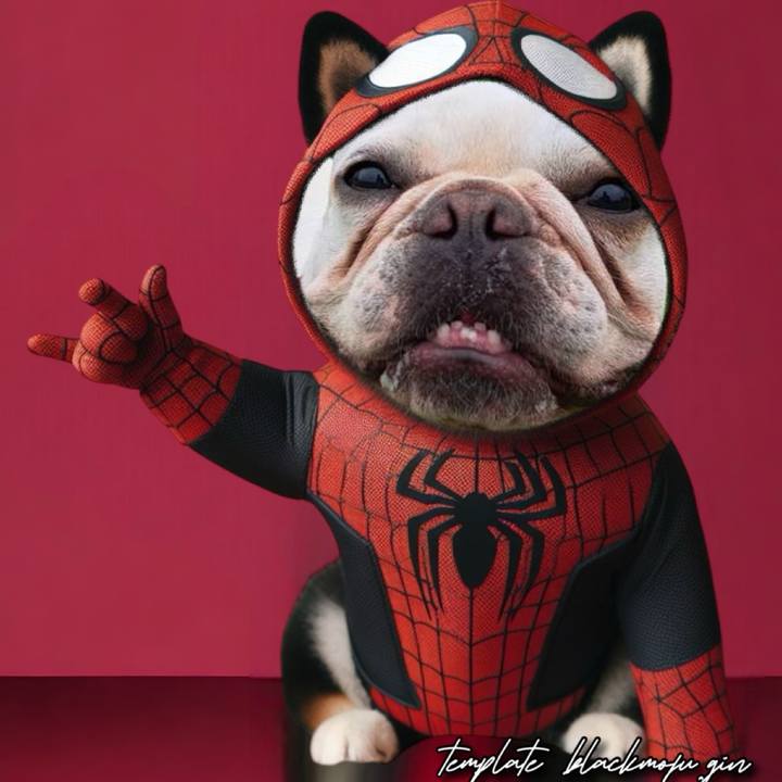 Cb97de13 9379 4ca6 82a9 079e71cfd448 1706446061570