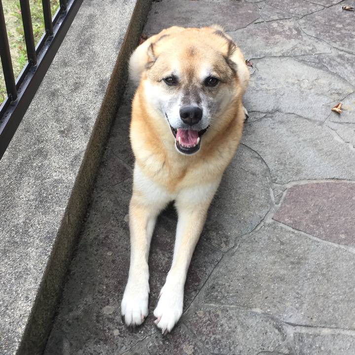 Cb97fd7d a843 4cab 9d1e cfacae48ce67 1562666809843