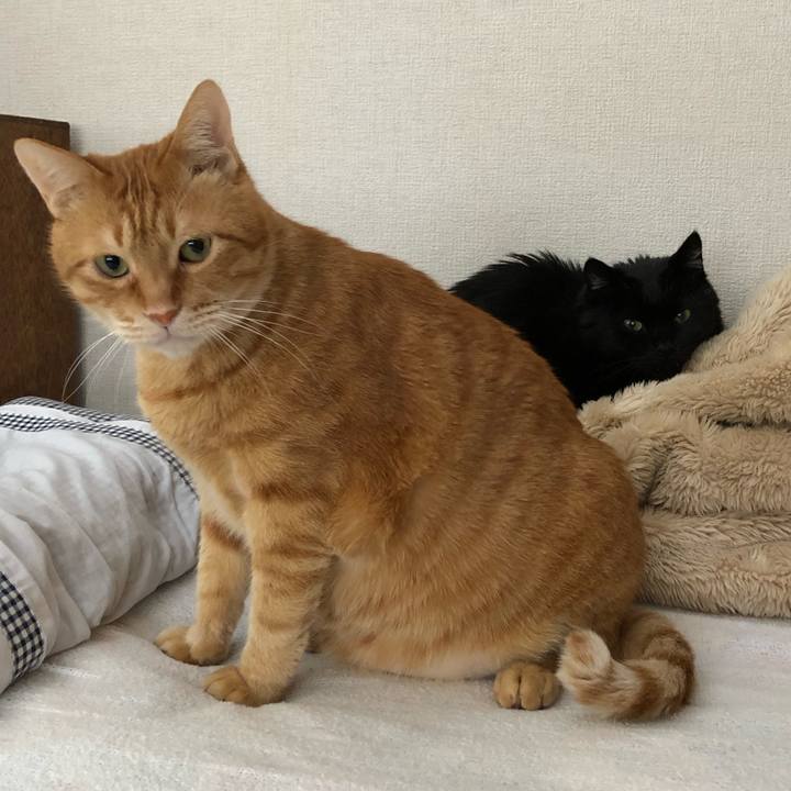 Cb9816b0 fcc9 40fc a9d6 4b13fd48f30c 1613023740283