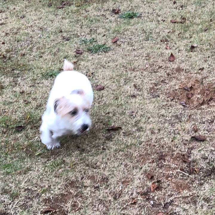 Cb982214 d87e 4fcc 9599 3dd53269be2f 1603882168502