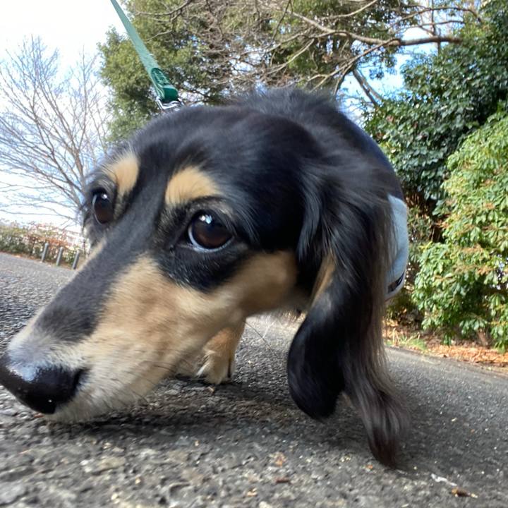 Cb982e19 9559 47b9 a379 c0a0b6cc653c 1704096584272