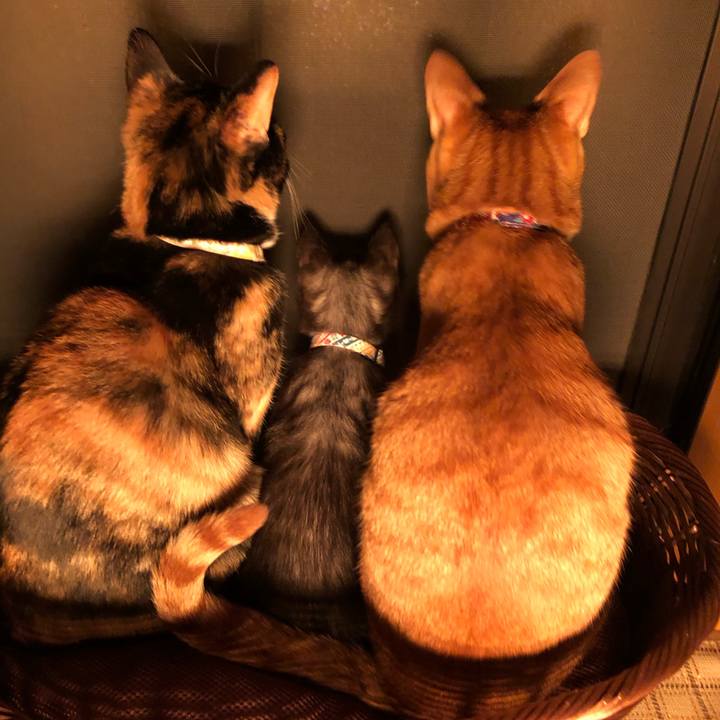 Cb9855bc cc55 462c 9cbc 23a7c8c46f9e 1607635922785