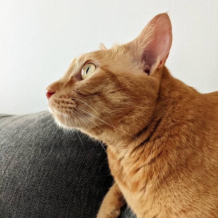 Cb98c86d 7753 4282 bc50 797ec6601ca6 1661904483058