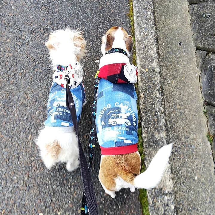 Cb98d49e a130 408b a330 68529ed3b452 1554012486301