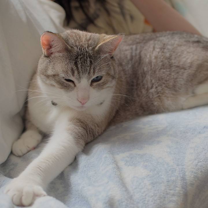 Cb990517 362c 4619 a6a7 a6c48ae2449d 1563712258201