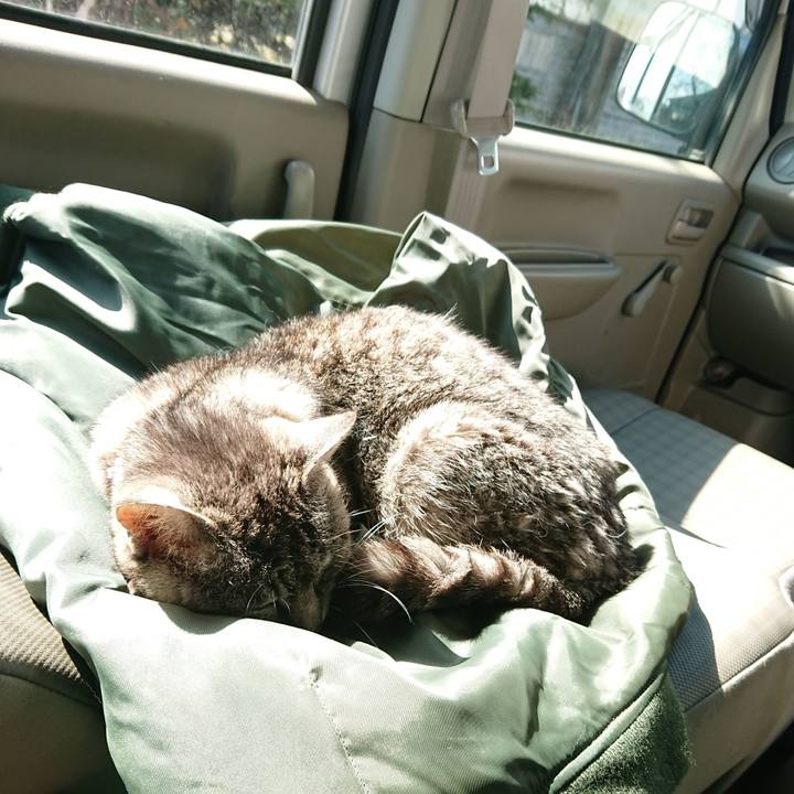 Cb993a0d 5d6a 4b27 8c4a eeadbc657236 1583546315060