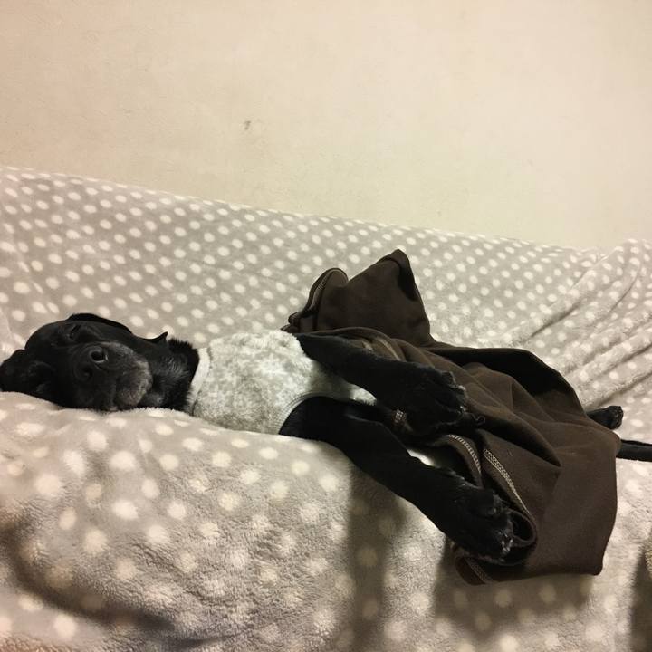 Cb9942f2 cc3c 43be 89b7 ce226cba8285 1512748744997