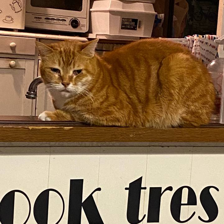 Cb997248 437e 4601 9ca9 23be02a02ce8 1615638468310