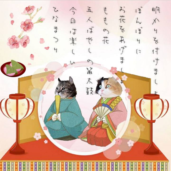 Cb998307 fd7c 436f abc6 bb3e70d6182b 1677728860834