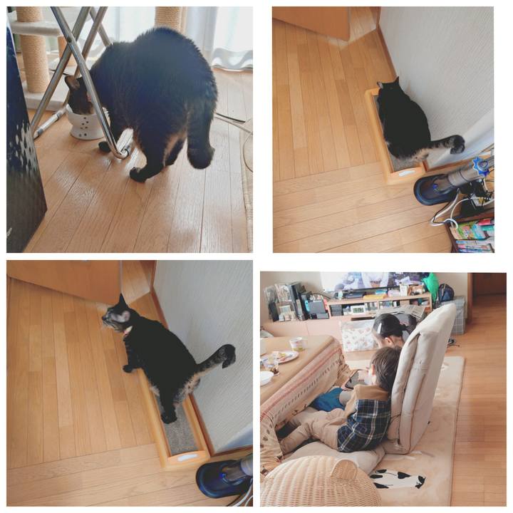 Cb999350 34a6 4f19 b0a5 d9c656de898d 1773539003335