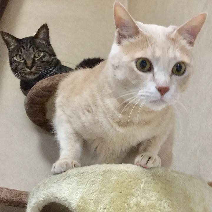 Cb99b15f 4acb 47fc bb2e d81b1d486973 1592481920976