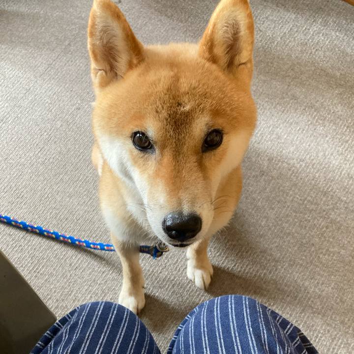 Cb99bbce f36e 4614 a0c5 ffca5878019f 1626167041084