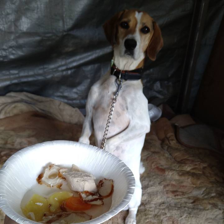 Cb99bd42 e0eb 4585 861d c202166f7d45 1663044616207