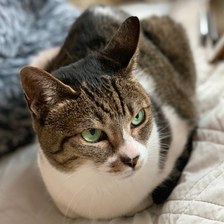 Cb99c5b3 472d 4167 88eb 2f5f4b1e12f3 1556585715292