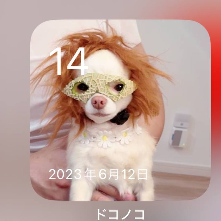 Cb9a537b 689f 43e5 92af 4f45e437cf59 1718337333682