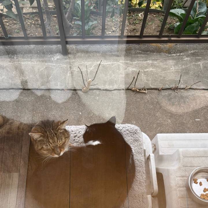 Cb9a6805 aacc 4115 b4ae c2f9d7701bdf 1768965109009