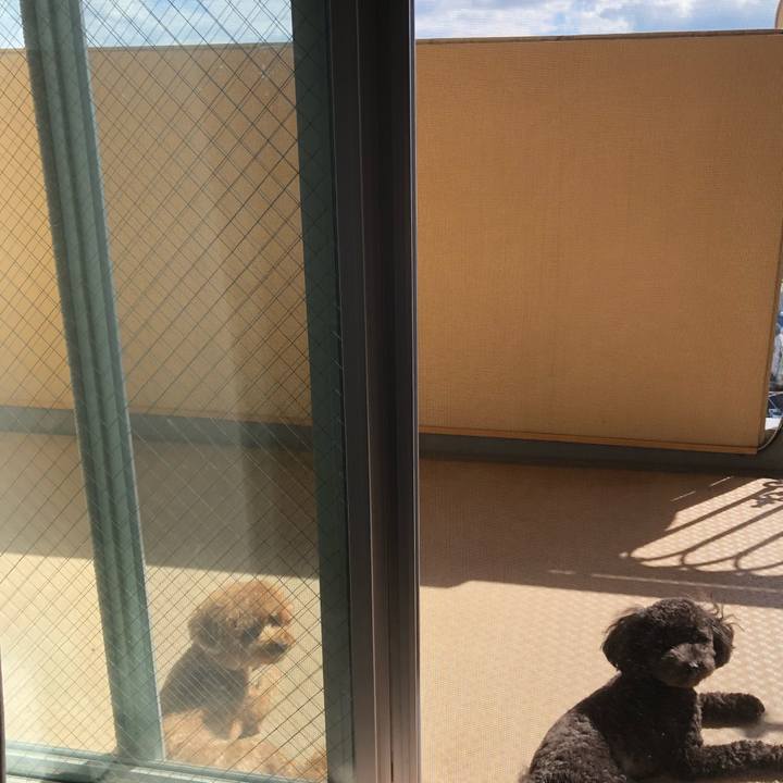 Cb9ad131 a1c8 4370 b09c 48d6607022b8 1575960868200