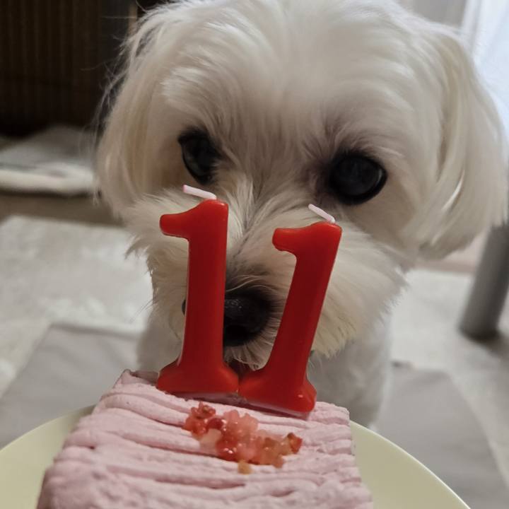 Cb9ad930 5ca7 4503 918b 057e61476ba0 1758622159031