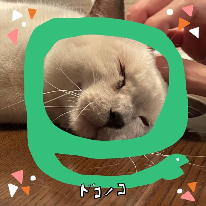 Cb9adf13 8ad6 4bea 946d 3097928175df 1741126789015