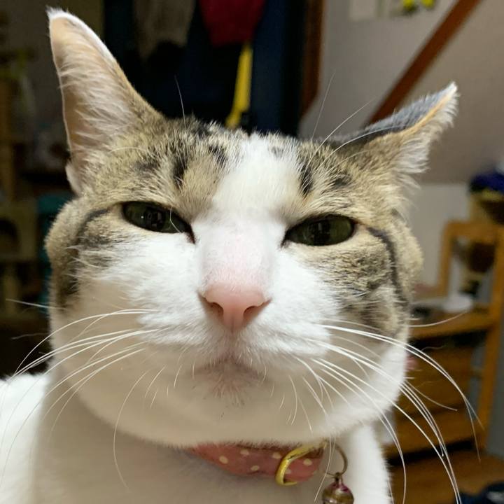 Cb9ae043 c87c 43f1 a95c fd09185bad98 1611639616698