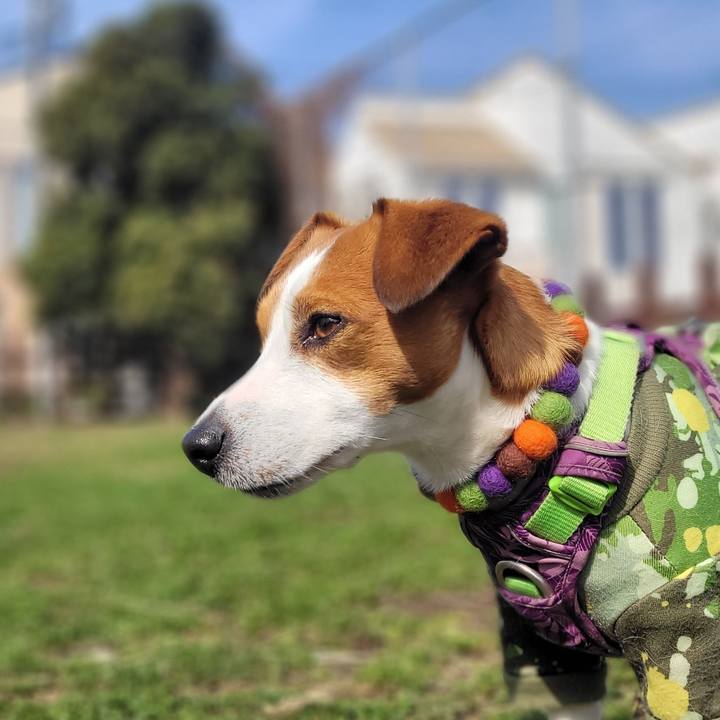 Cb9afe44 4eb6 4f00 b8bd 3a2b83b41cb4 1648029517989