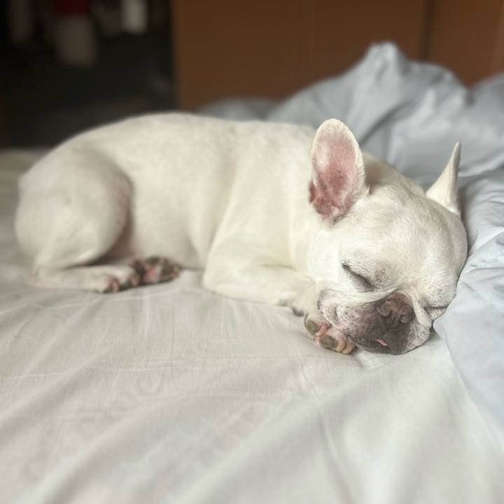 Cb9b2c96 89b2 4aa0 ae2b fd724bb0488b 1692095956699