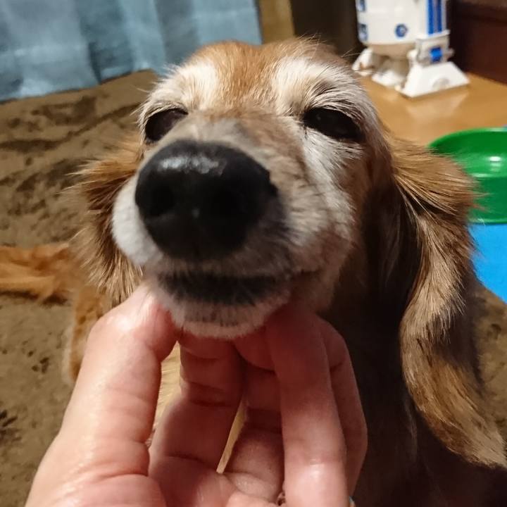 Cb9b3a34 9879 4a2f 9c41 a9fdb11ba431 1558981946007