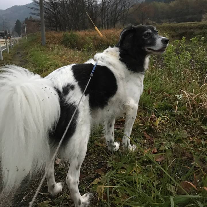 Cb9b5edc 2a98 4d85 afa4 3506f2092b34 1511391102329