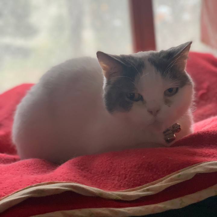 Cb9bd455 cd03 405b 989e 0202858bc596 1700180813821