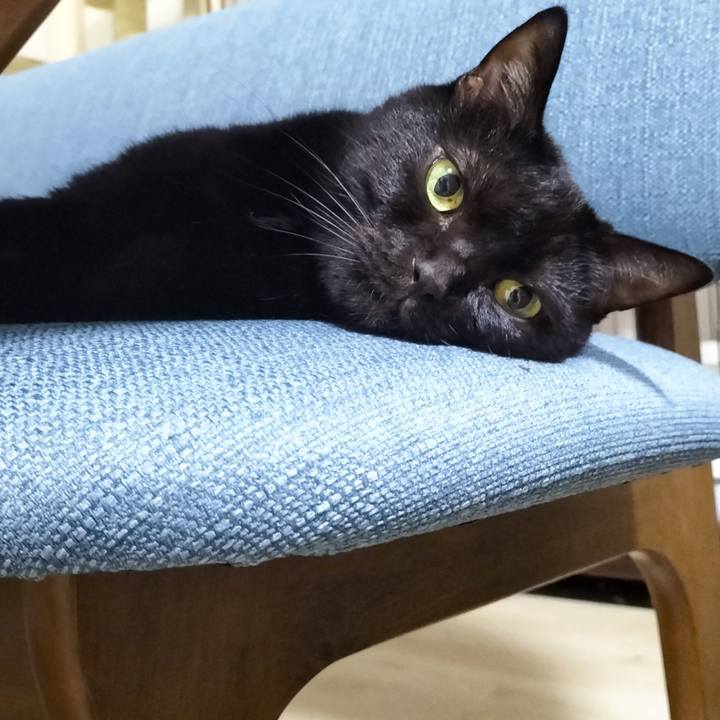 Cb9bff1a 2c4f 4352 a2e9 3af705f2b29c 1696421698389