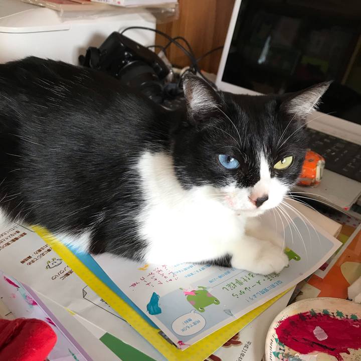 Cb9c1483 6cb9 4895 b000 7eaf214c84d7 1557459679393